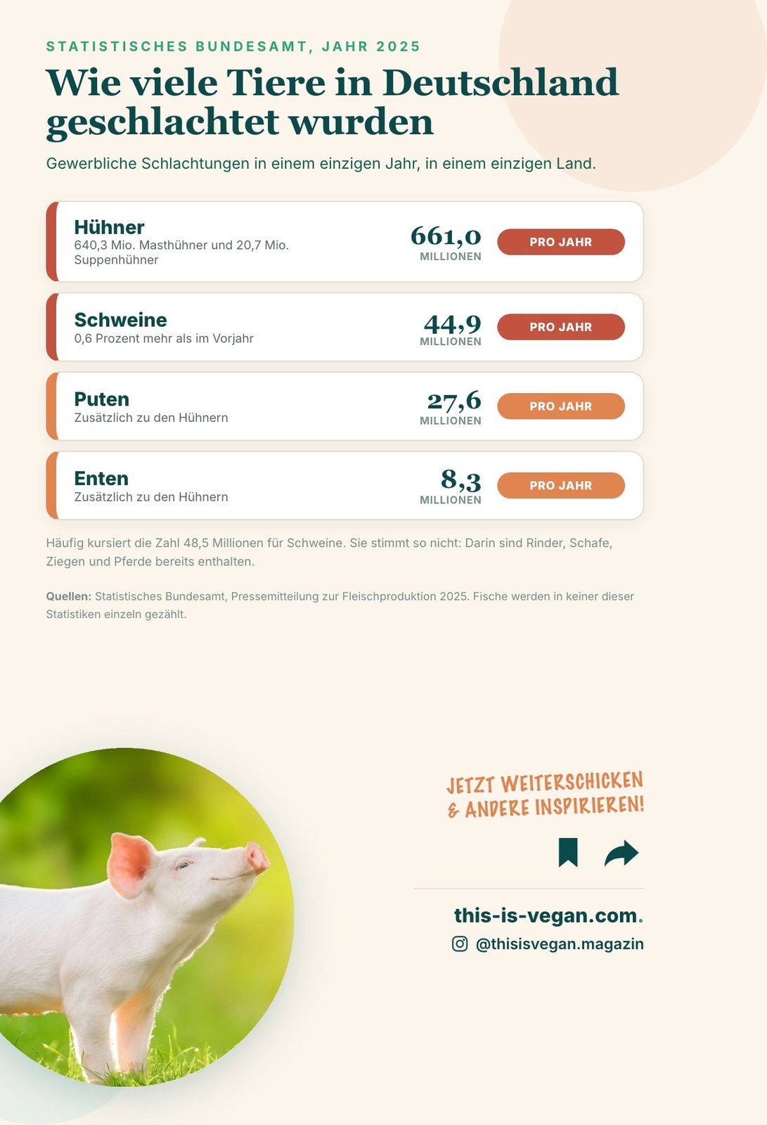 Infografik: Schlachtzahlen in Deutschland 2025