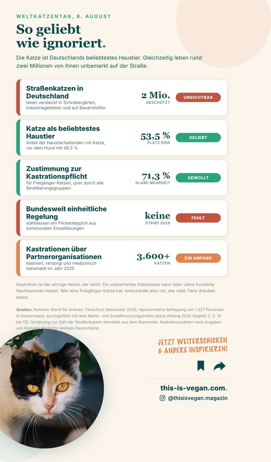 Infografik: zwei Millionen Straßenkatzen in Deutschland, 53,5 Prozent halten Katzen, 71,3 Prozent wollen eine Kastrationspflicht