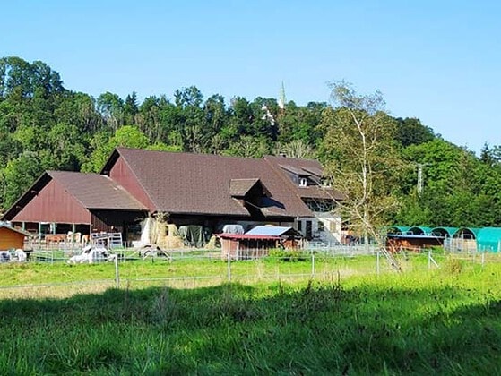 Argenhof: Hofpanorama mit Stallgebäuden und Weiden