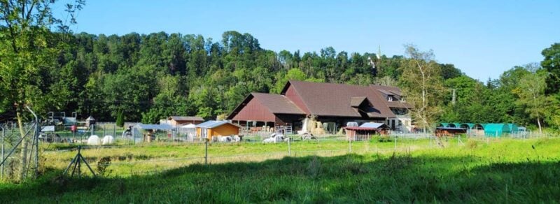 Argenhof: Hofpanorama mit Stallgebäuden und Weiden