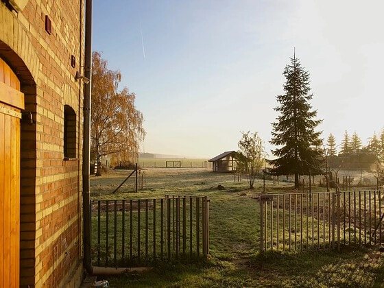 Eibenshof: Morgenstimmung auf dem Hofgelände mit Weiden und Stallhaus