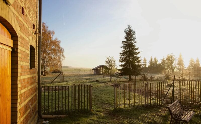 Eibenshof: Morgenstimmung auf dem Hofgelände mit Weiden und Stallhaus