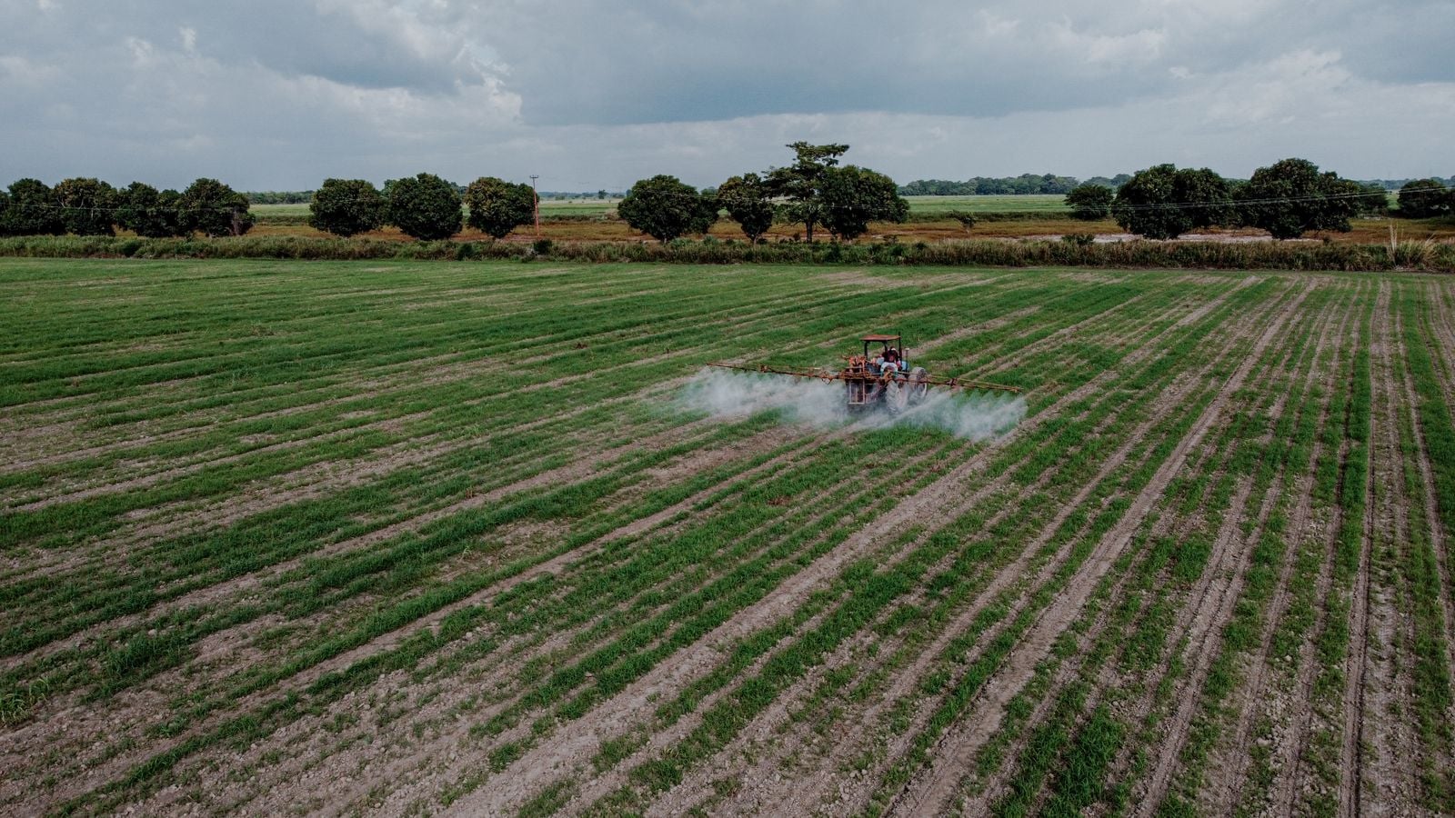 Tractor spraying plant protection products over a field, aerial view