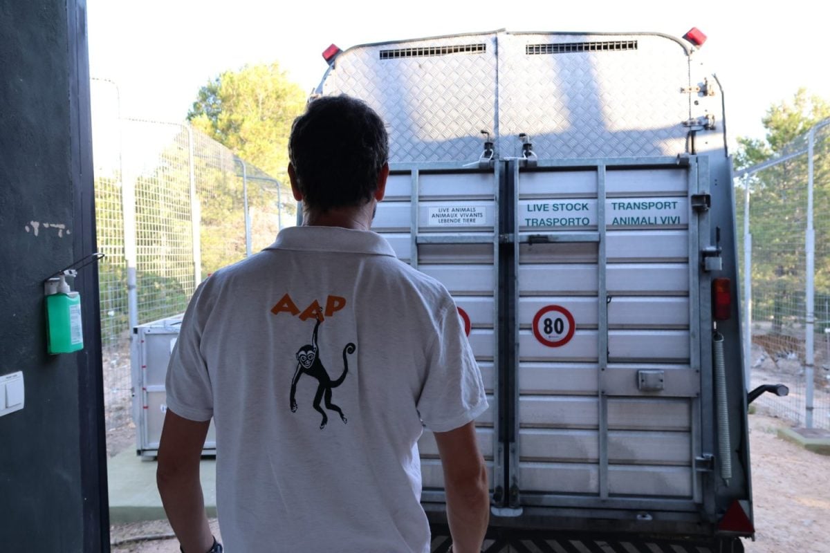 AAP-Mitarbeiter vor dem Transporter mit Aufschrift Live Stock Transport