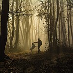 Staupe beim Hund: Symptome erkennen und richtig schützen Frau geht mit ihrem Hund an der Leine durch einen sonnigen Wald