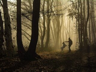 Frau geht mit ihrem Hund an der Leine durch einen sonnigen Wald