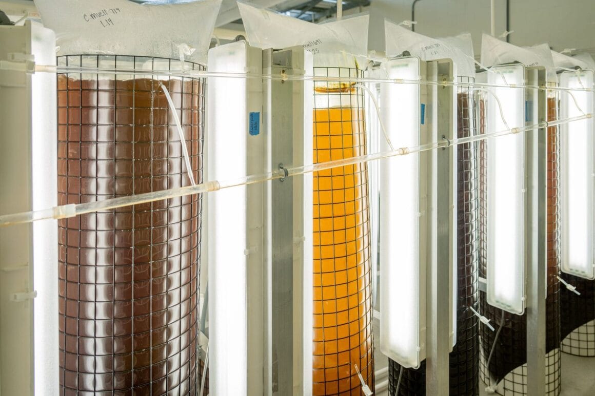 Große industrielle Fermentationstanks aus Edelstahl in einer Halle