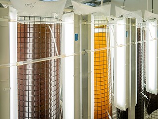 Große industrielle Fermentationstanks aus Edelstahl in einer Halle