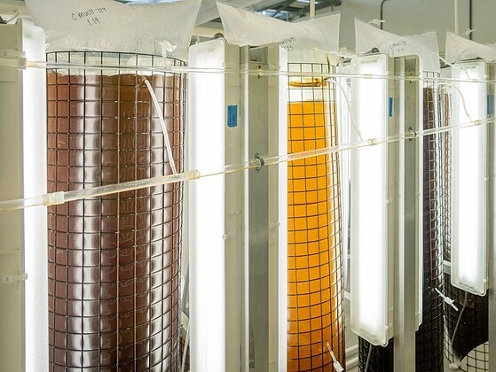 Große industrielle Fermentationstanks aus Edelstahl in einer Halle