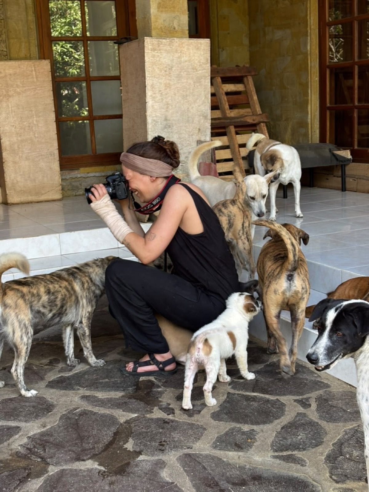 Wiebke Plasse photographing dogs at the BAWA shelter in Indonesia