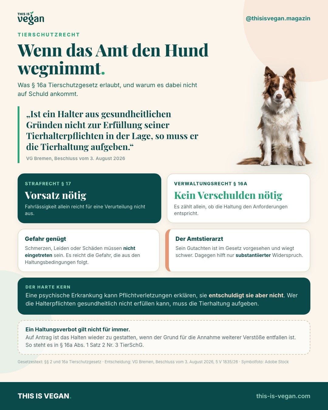 Infografik: Wenn das Amt den Hund wegnimmt. Übersicht zu Paragraf 16a Tierschutzgesetz mit den wichtigsten Regeln