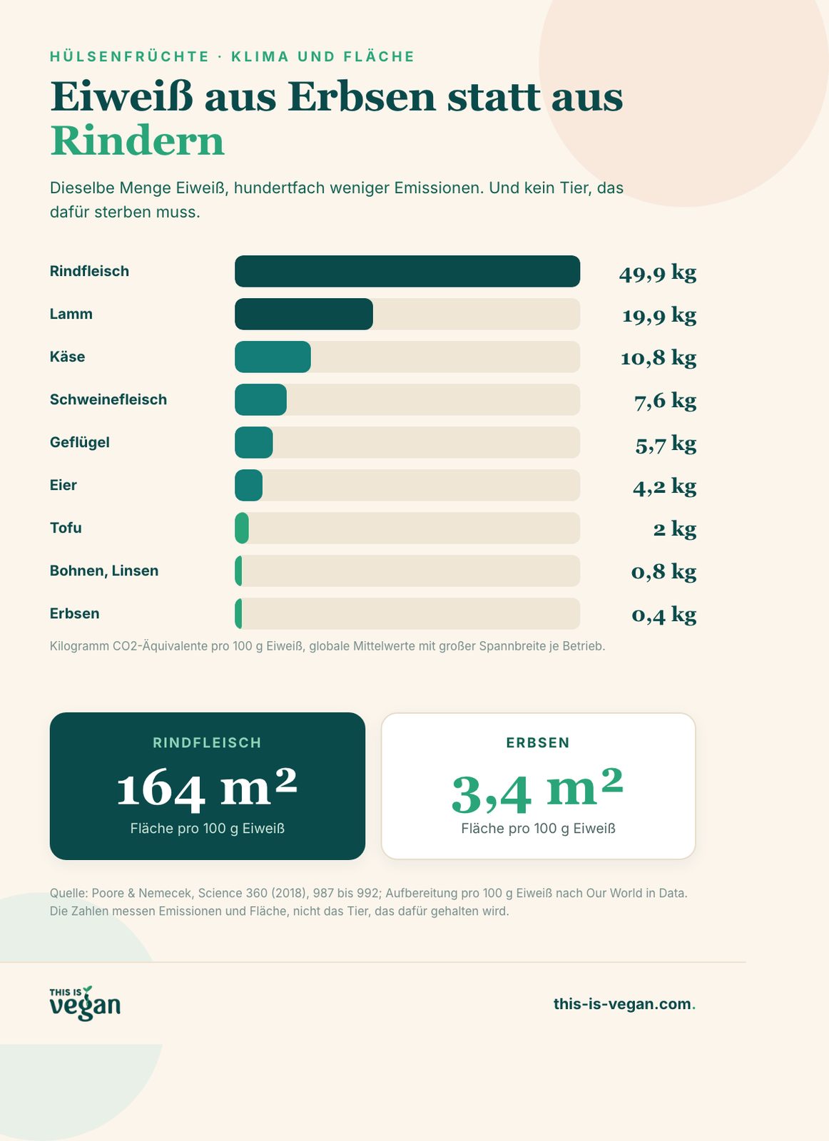 Infografik: CO2-Äquivalente pro 100 g Eiweiß, Rindfleisch 49,9 kg bis Erbsen 0,4 kg, dazu Flächenbedarf
