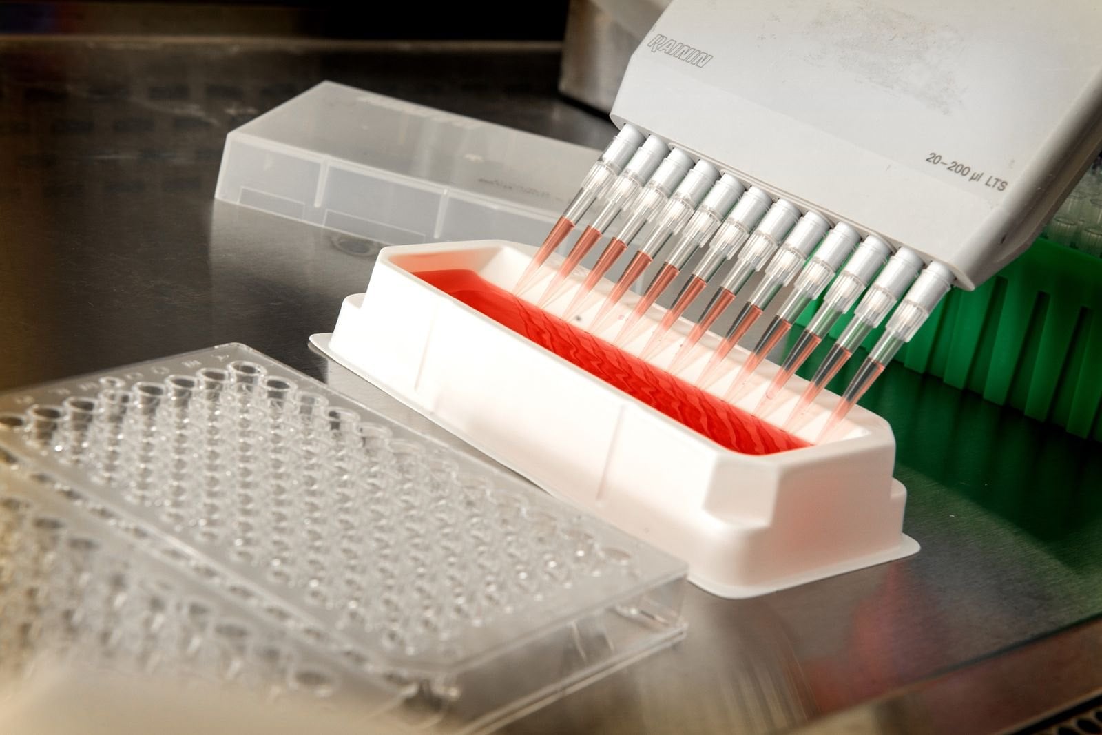Mehrkanalpipette über einer 96-Well-Platte im Labor