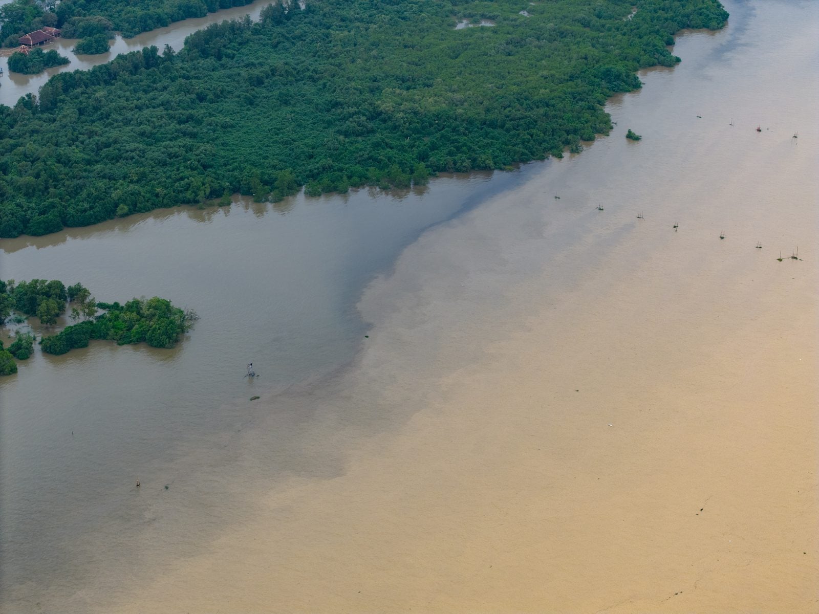 Luftaufnahme des Songkhla-Sees in Südthailand mit bräunlich getrübtem Wasser und grünen Uferzonen