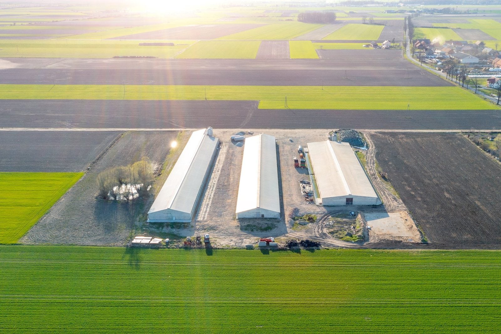 Luftaufnahme mehrerer langer Stallgebäude einer Tierhaltungsanlage zwischen Feldern