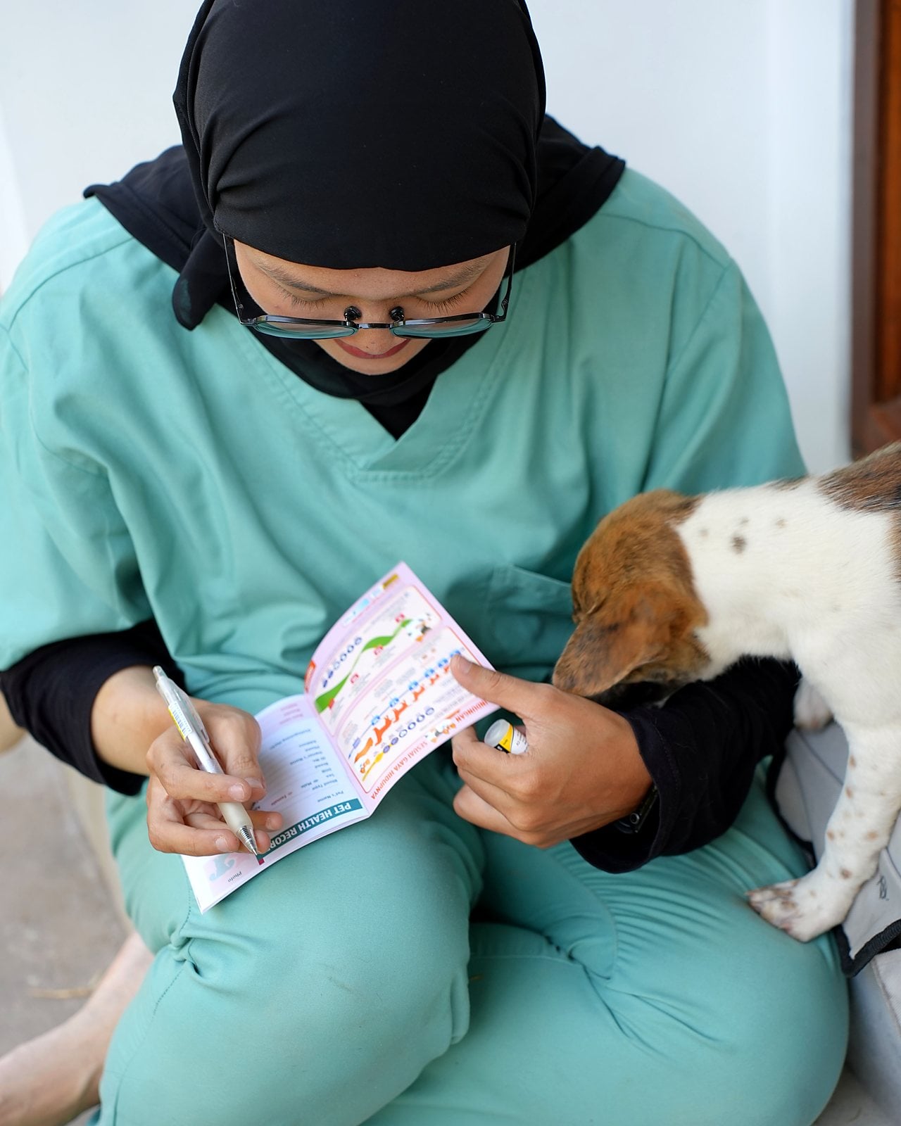Tierärztin trägt die Impfung in einen Heimtierausweis ein, neben ihr schnuppert ein Welpe