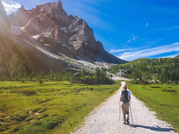 Wanderin auf einem Schotterweg durch grüne Almwiesen vor Felsgipfeln in den Alpen
