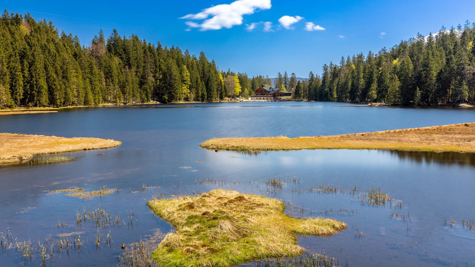 Landschaft in Bayerischer Wald: Großer Arbersee bei Bodenmais, umgeben von Fichtenwald