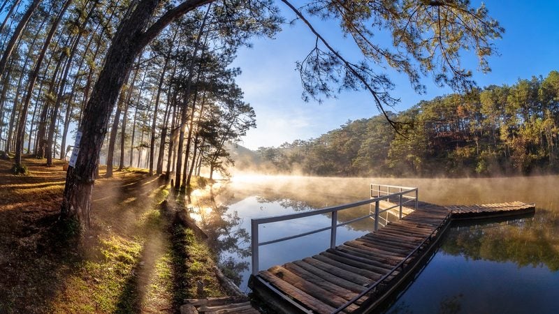 Landschaft in Đà Lạt: Kiefernwald und stiller See im Hochland von Đà Lạt