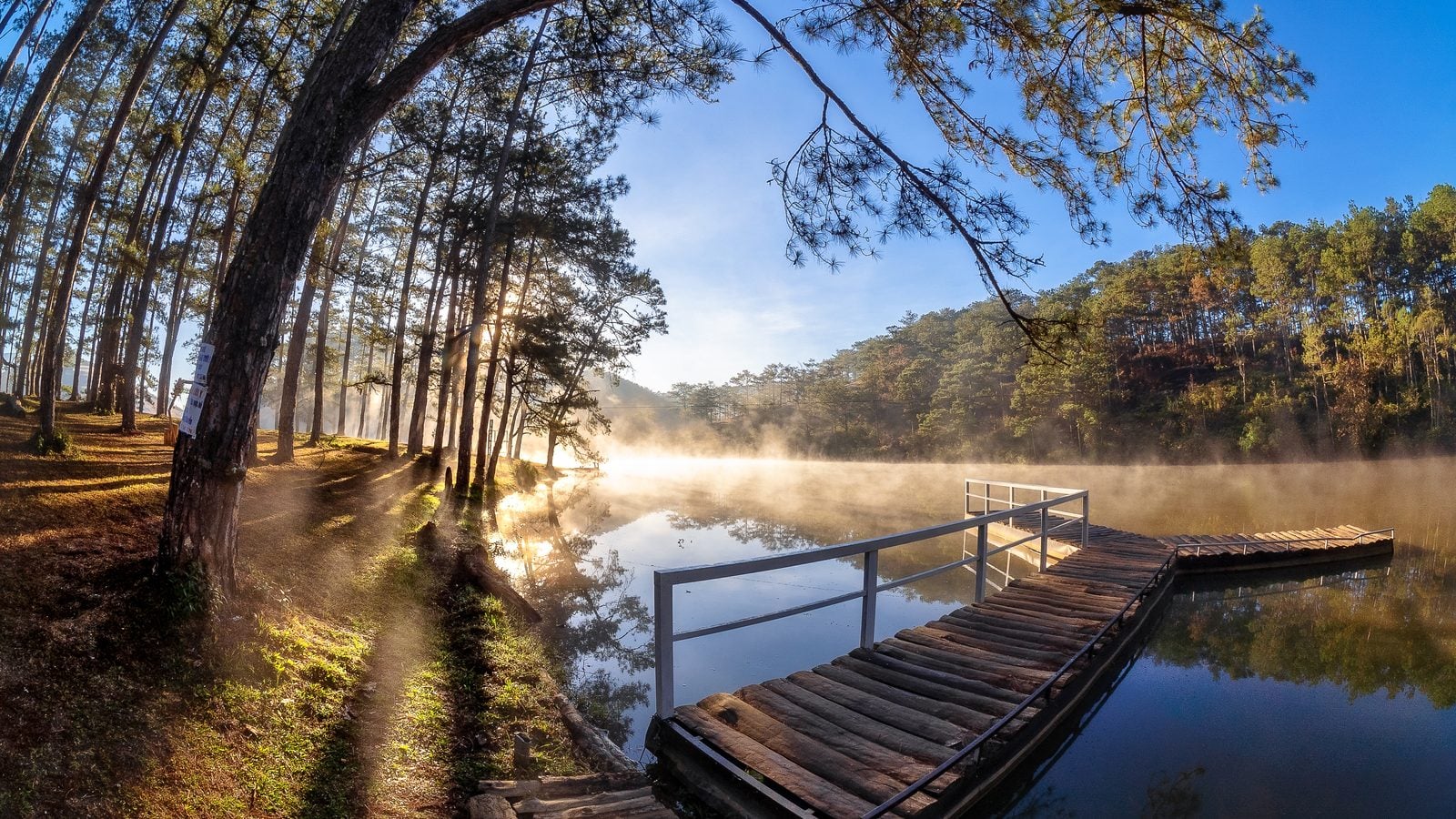 Landschaft in Đà Lạt: Kiefernwald und stiller See im Hochland von Đà Lạt