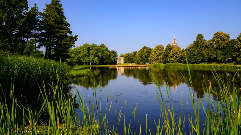 Landschaft in Flusslandschaft Elbe: Stiller Auensee mit Schilf und alten Bäumen im Gartenreich Dessau-Wörlitz an der Mittelelbe