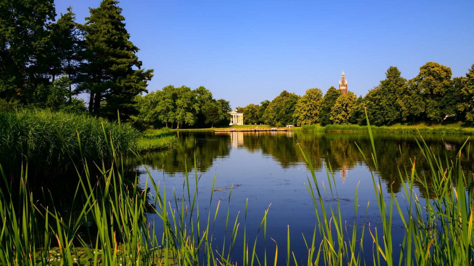 Landschaft in Flusslandschaft Elbe: Stiller Auensee mit Schilf und alten Bäumen im Gartenreich Dessau-Wörlitz an der Mittelelbe