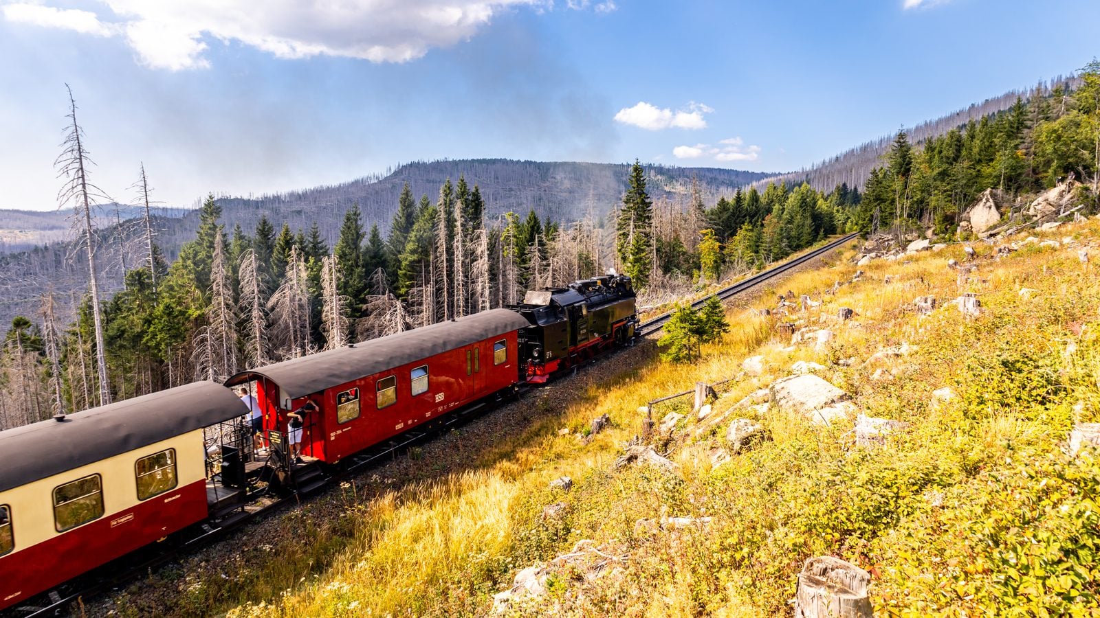 Landschaft in Harz: Brockenbahn im Nationalpark Harz bei Schierke