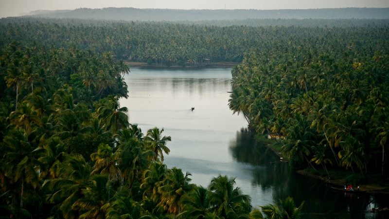 Landschaft in Kerala: Backwaters bei Alappuzha zwischen dichten Kokospalmen