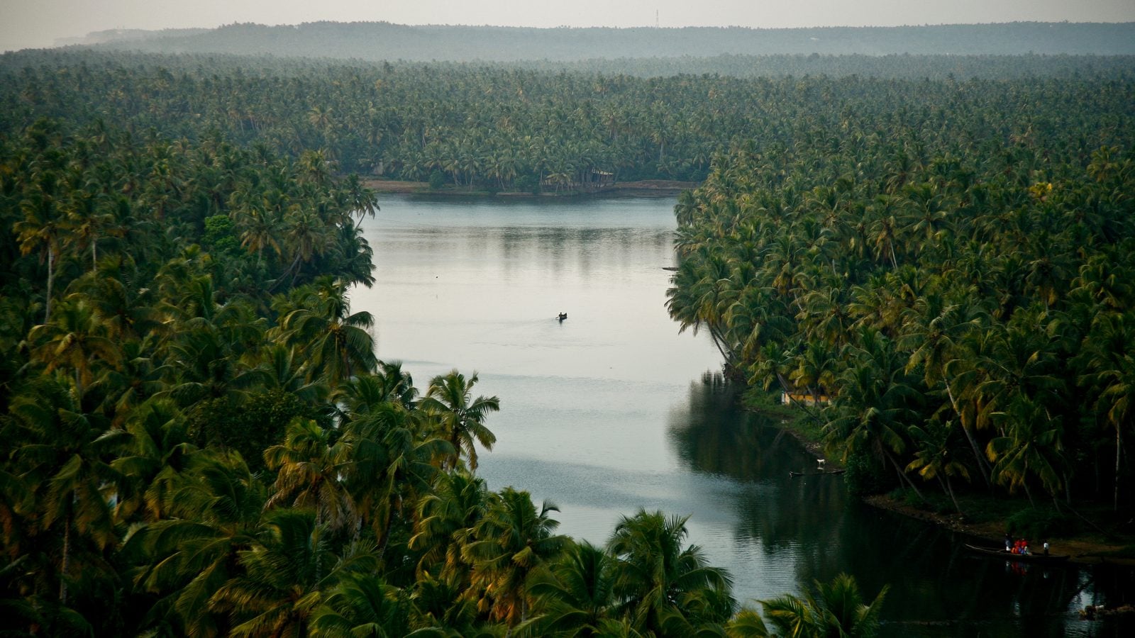 Landschaft in Kerala: Backwaters bei Alappuzha zwischen dichten Kokospalmen