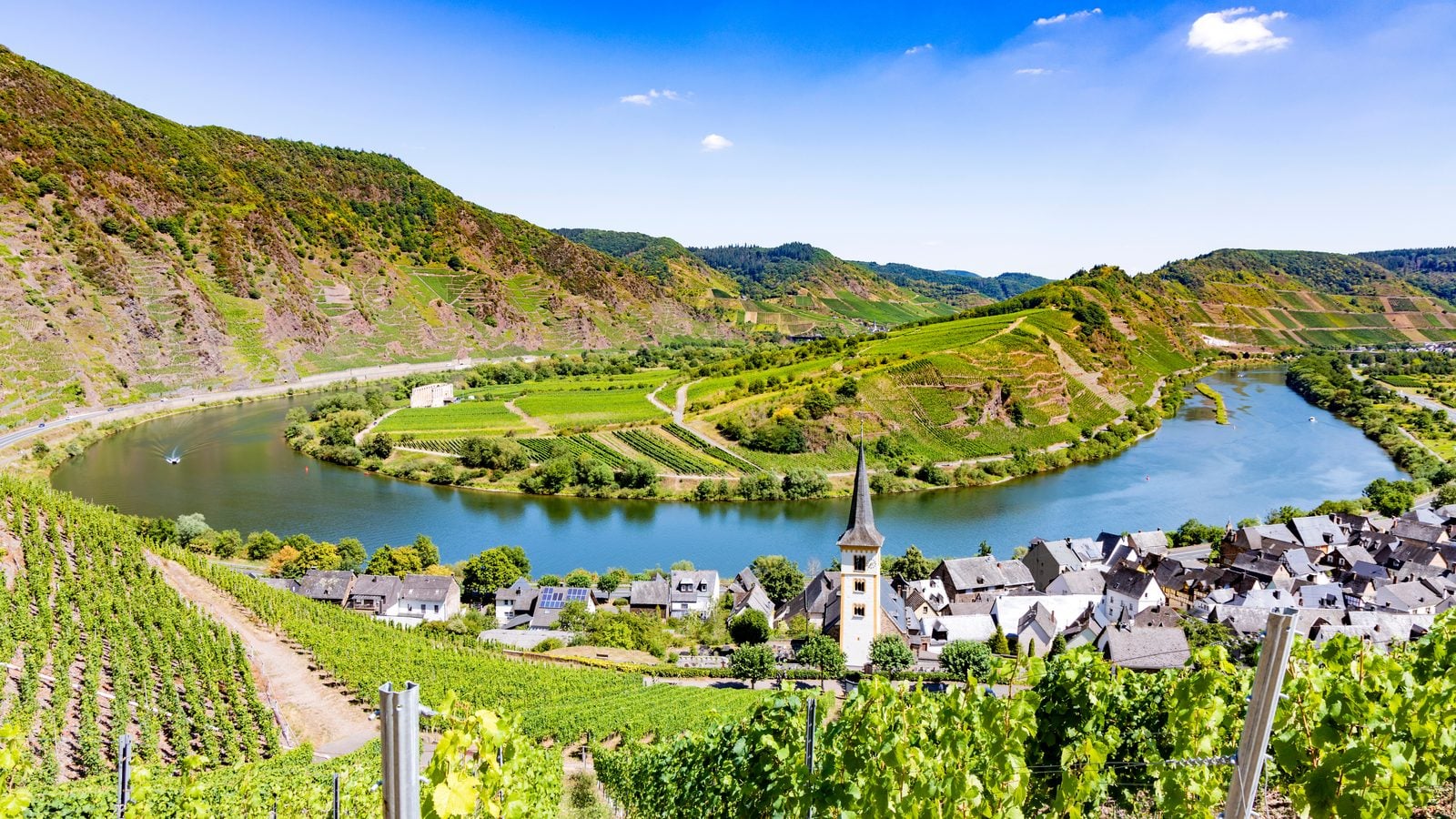 Landschaft in Moseltal: Moselschleife bei Bremm mit steilen Weinbergen