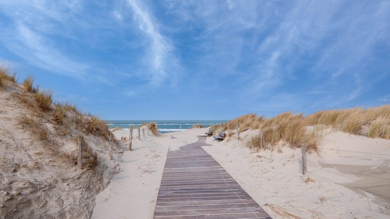 Landschaft in Nordholland: Holzsteg durch die Dünen zum Nordseestrand bei Petten