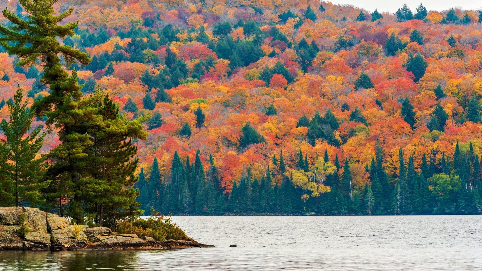 Landschaft in Ontario: Herbstwald am See im Algonquin Park