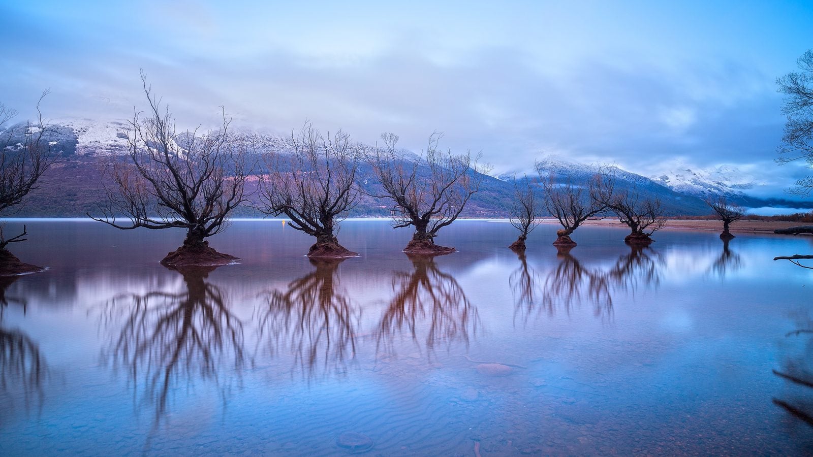 Landschaft in Otago: Weiden im Wasser des Lake Wakatipu bei Glenorchy vor schneebedeckten Bergen