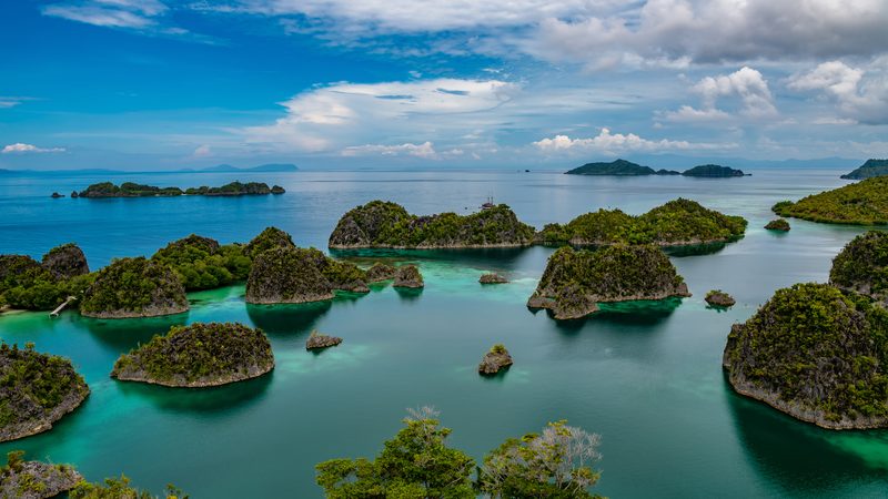 Landschaft in Raja Ampat: Kleine Karstinseln in einer türkisen Lagune bei Waigeo