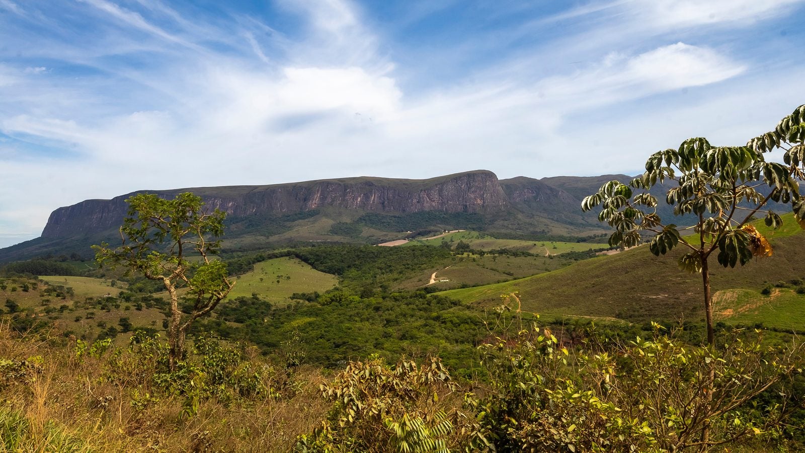Landschaft in Minas Gerais: Cerrado-Landschaft mit Tafelberg in der Serra da Canastra