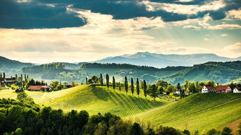 Landschaft in Südsteiermark: Sanfte Weinberghügel bei Gamlitz