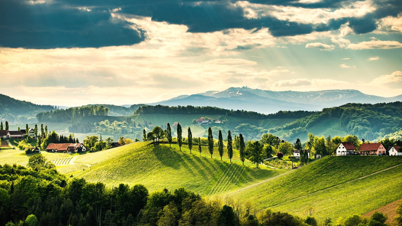 Landschaft in Südsteiermark: Sanfte Weinberghügel bei Gamlitz