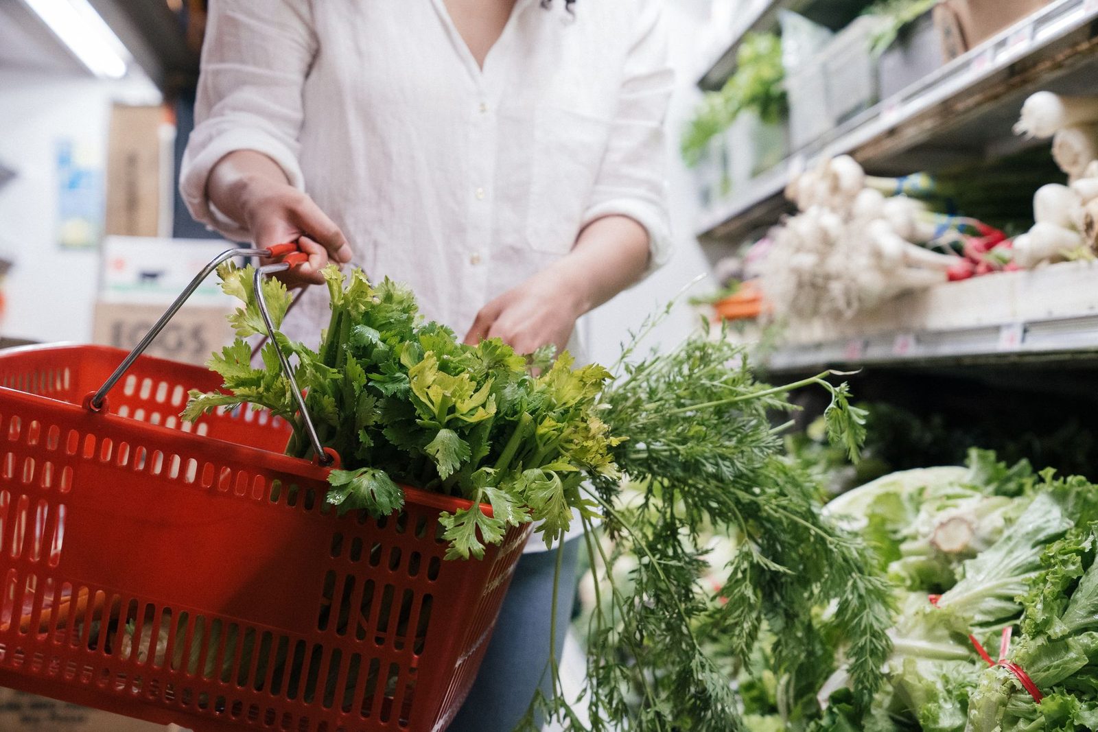 Person holding a red supermarket basket filled with fresh greens such as celery and parsley