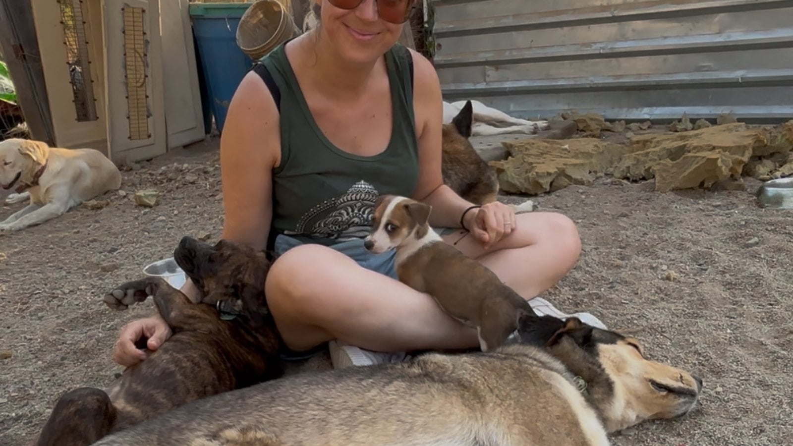 Jessica Dzikonski sitting in a shelter yard surrounded by dogs and puppies