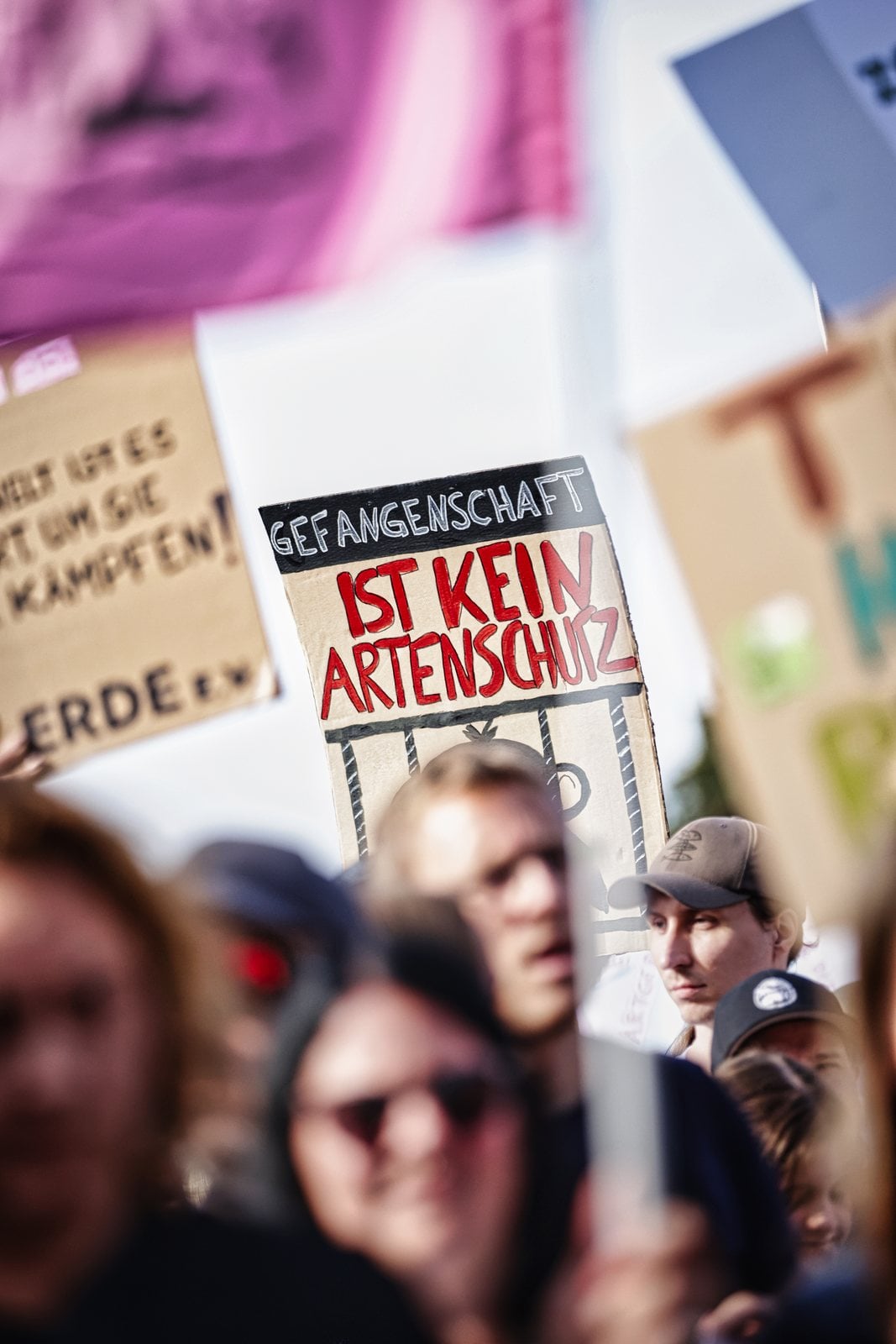 Schild mit der Aufschrift Gefangenschaft ist kein Artenschutz