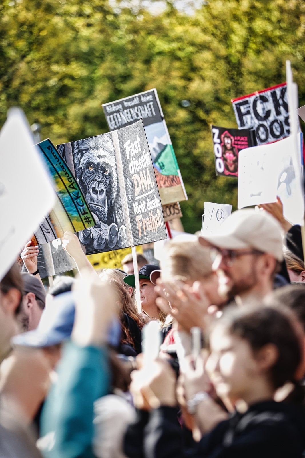 Selbst gemalte Schilder über den Köpfen der Demonstrierenden