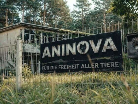 Verlassenes Gelände mit ANINOVA-Schild und dem Spruch Für die Freiheit aller Tiere