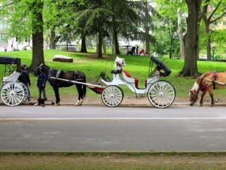 Pferdekutschen warten am Rand des Central Park in New York