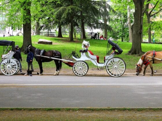 Pferdekutschen warten am Rand des Central Park in New York