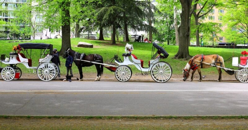 Pferdekutschen warten am Rand des Central Park in New York